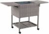 AXI Retro Cooler Wicker look Bruin Outdoor Koeler Op Wielen Met 76l Inhoud online kopen