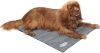 Scruffs & Tramps Honden koelmat grijs 2717 online kopen
