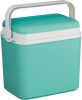 VidaXL Koelbox Turquoise Groen 10 Liter 30 X 19 X 28 Cm Koelboxen online kopen