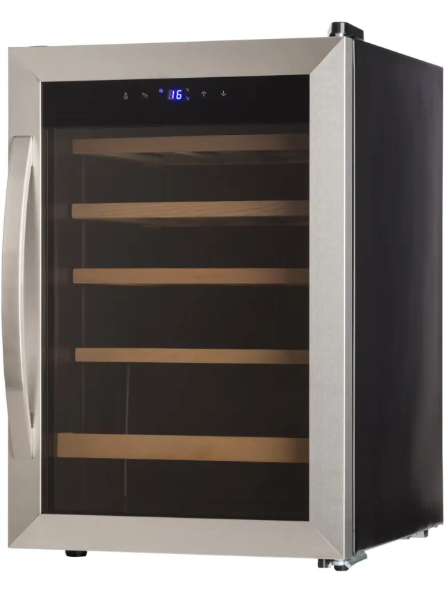 Klarstein Wijnkoeler Vinamour 19 Uno Wijnkoelkast 19 fl./62 l 4-18°C 40 dB glas - 62L 48 cm - voor Wijnliefhebber voor Bar - Glazen Deur Touch Houten Schappen - RVS - Display - Wijnklimaatkast - Wijnkast - Wine Cooler - Wine Fridge Roestvrij Staal