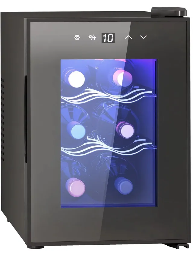 CreateEcom wijnkoeler - wijnkoelkast - met led-binnenverlichting - verstelbare temperatuur -2 planken - 26,5x51,5x39,3 cm - zwart