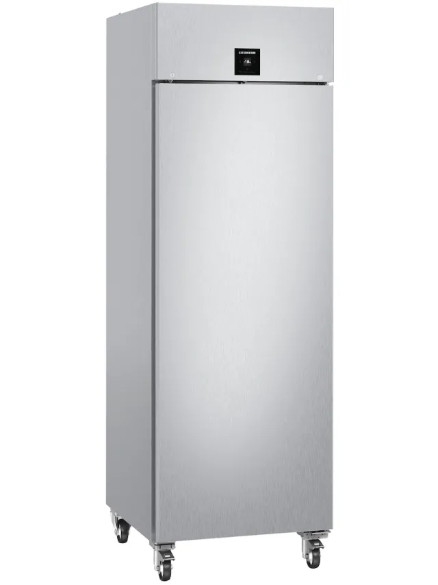 Liebherr FFPSvg 6501-40 Vrieskast Zilver