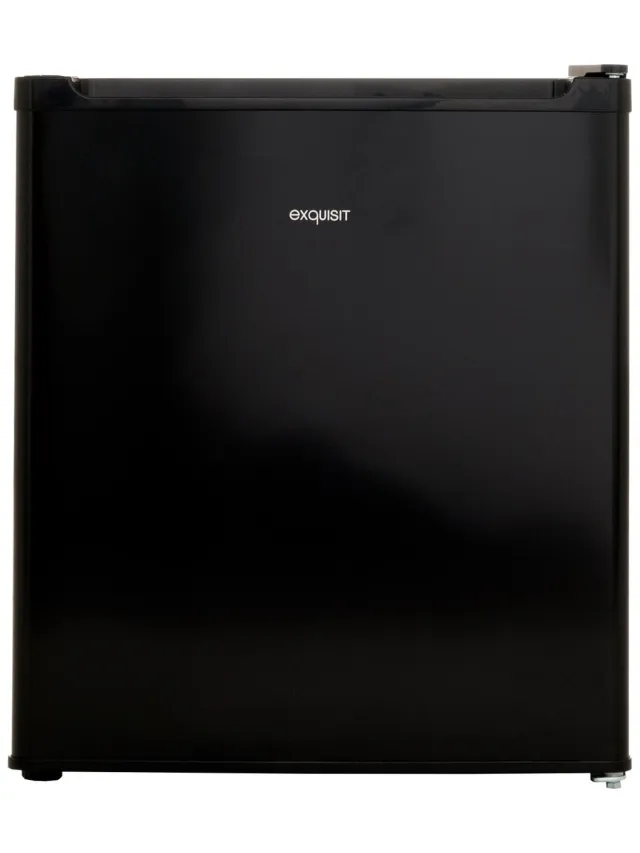 Exquisit GB05-040EB Mini vriezer Zwart