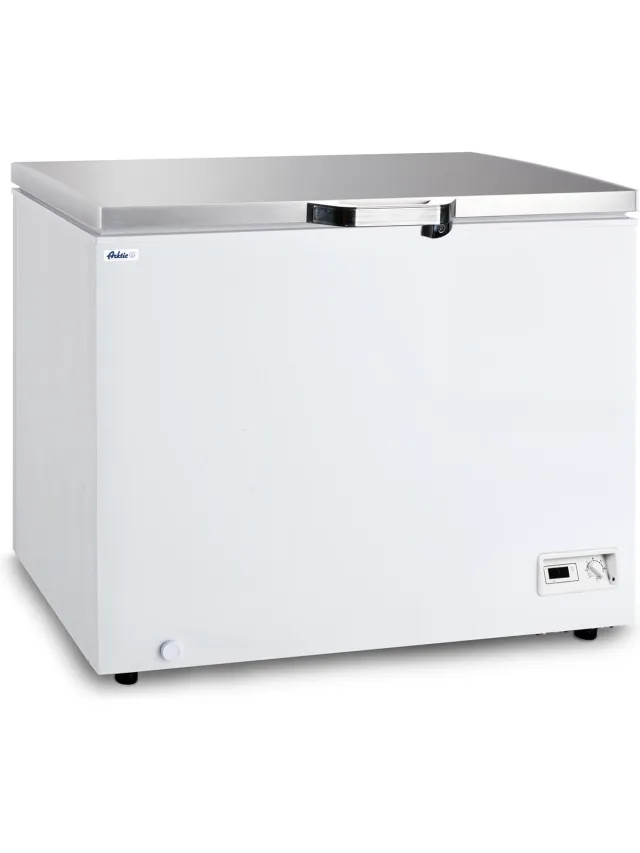 Arktic Hendi 233856 - Vrieskist Stainless steel,White
